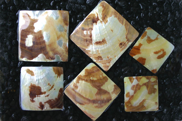 Tiger Mother of Pearl Shell Jewellery Pieces - Square